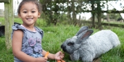 Kids days out in Essex
